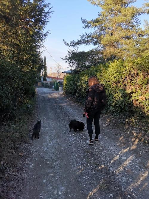 Femme avec chien en laisse et chat en liberté sur chemin en terre